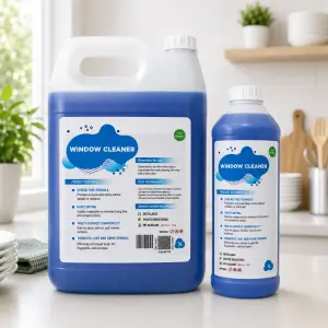 WINDOW CLEANER